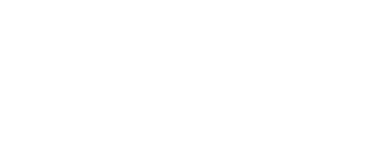 Print Stock Logo