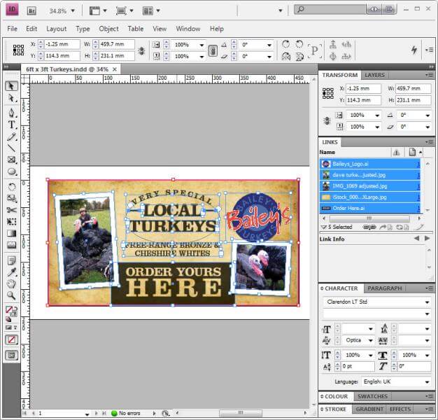 InDesign Workspace with linked Illustrator and Photoshop files